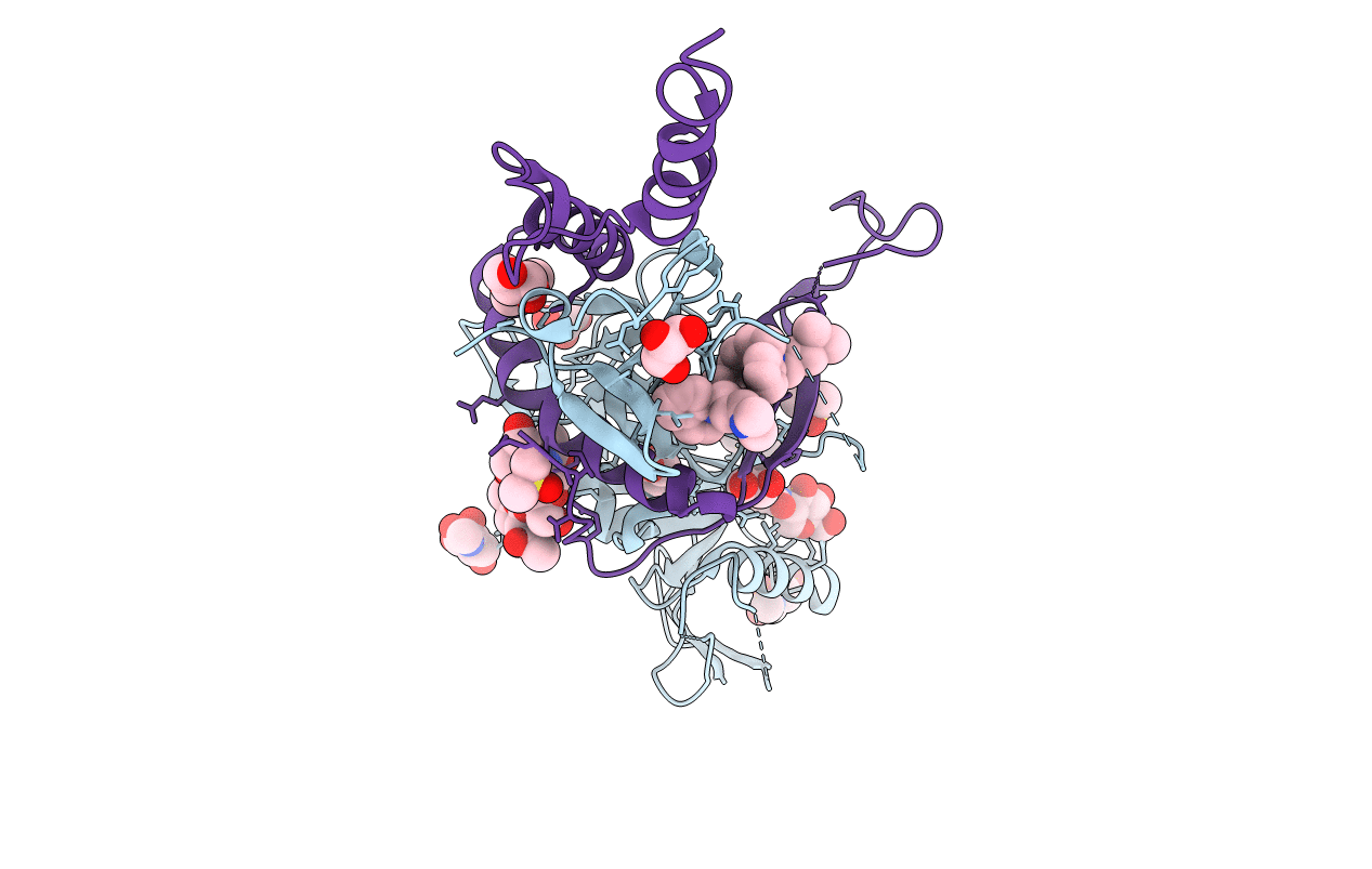 6G9B image