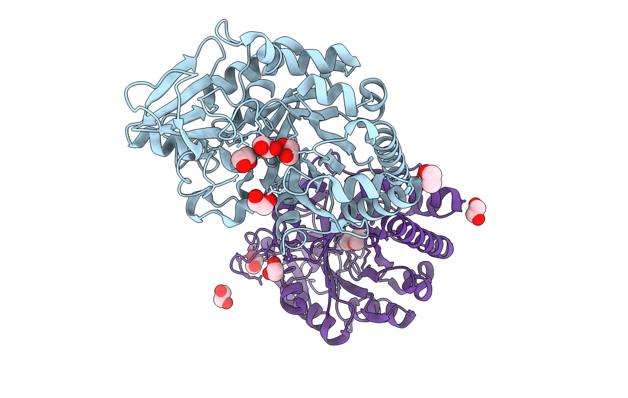 6G9C image