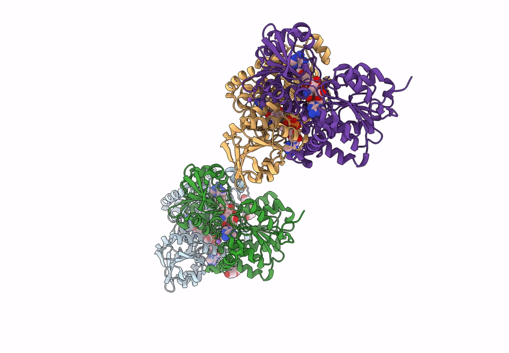 6GBN image