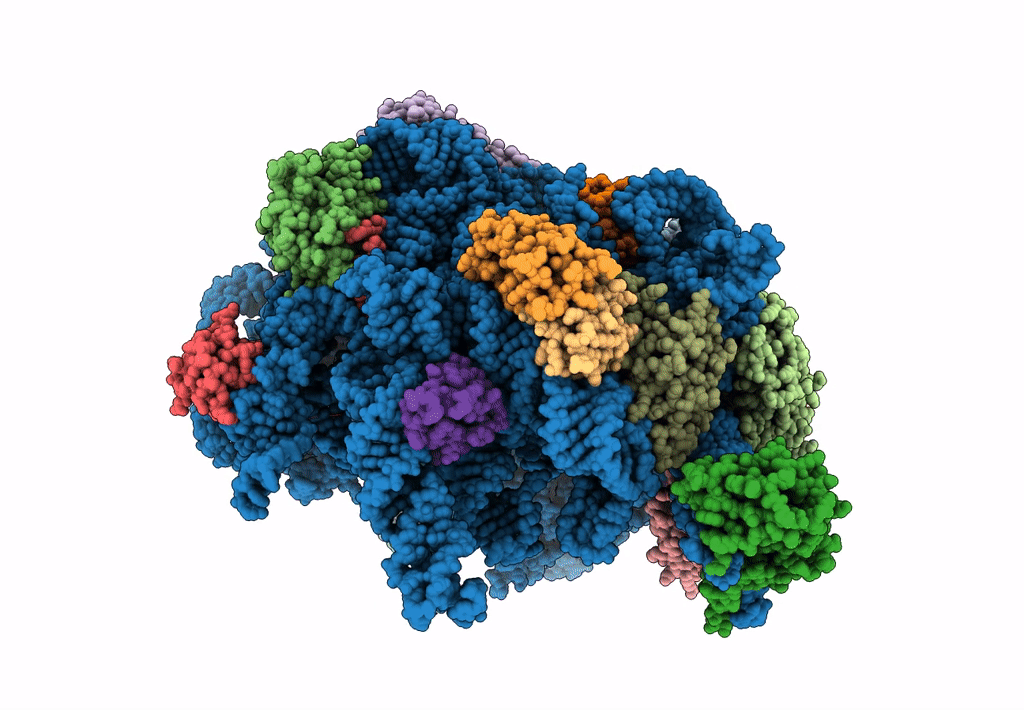 6GC6 image