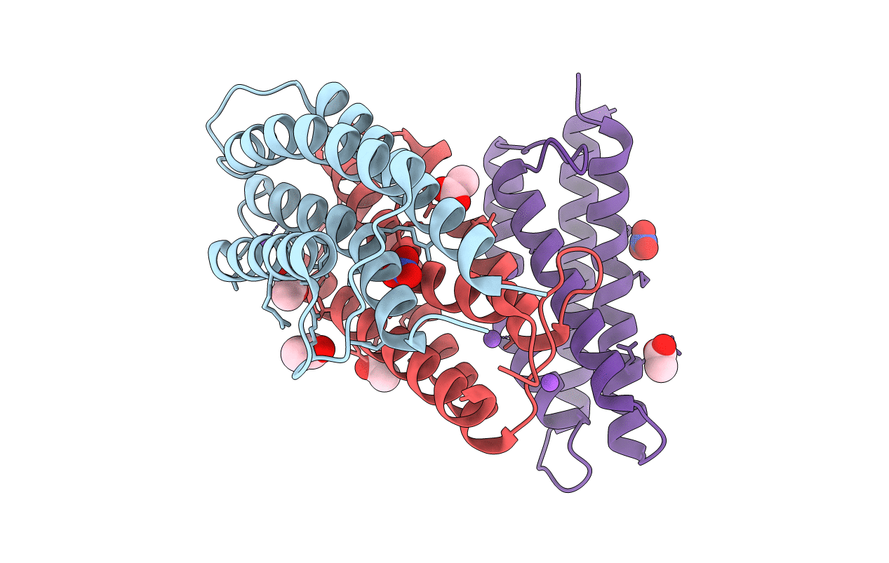 6GCV image
