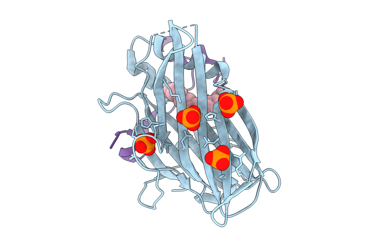 6GE6 image