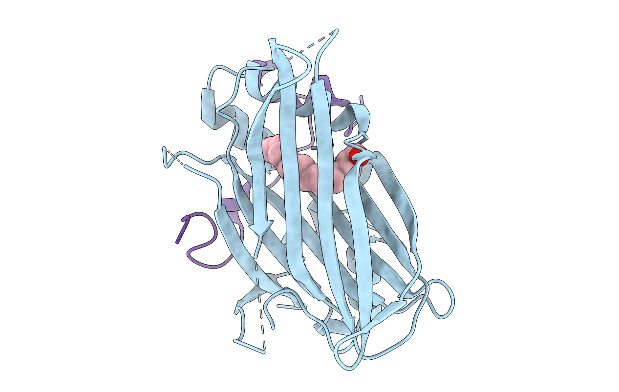 6GEE image
