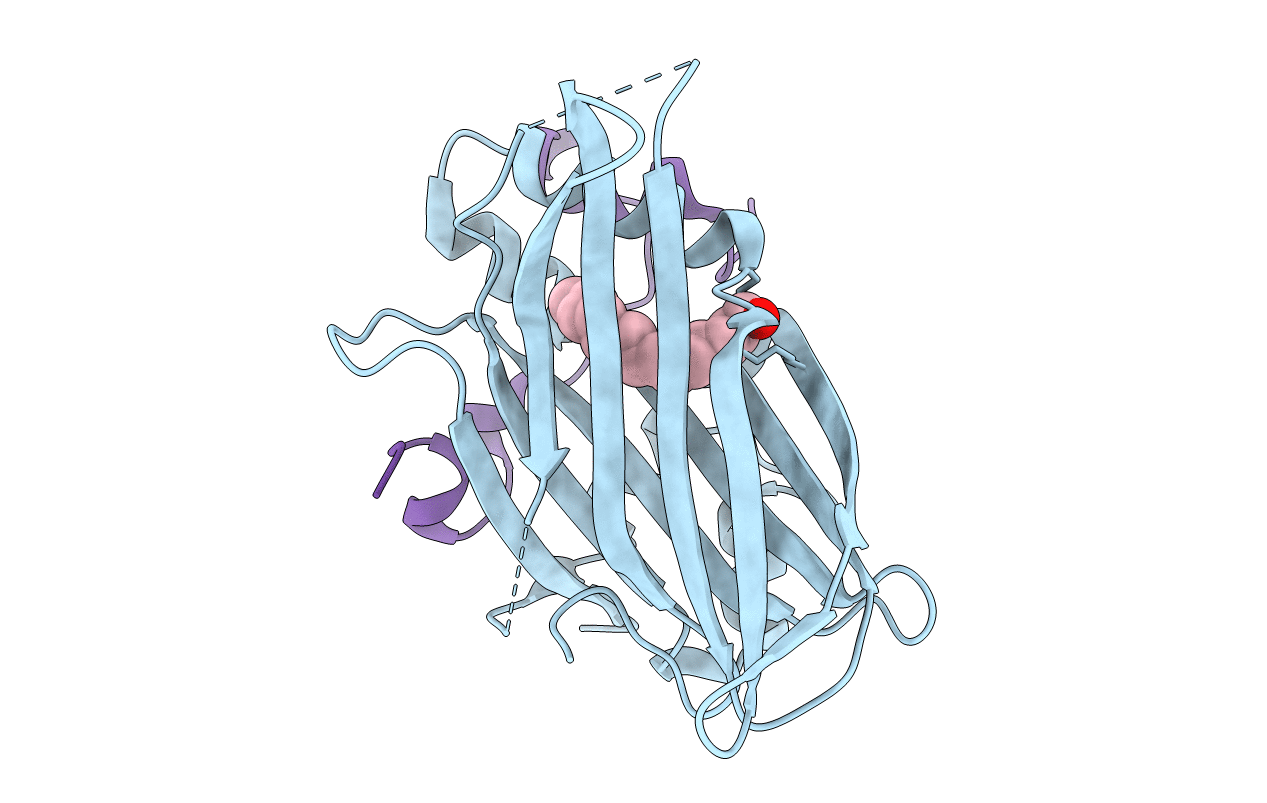 6GEG image