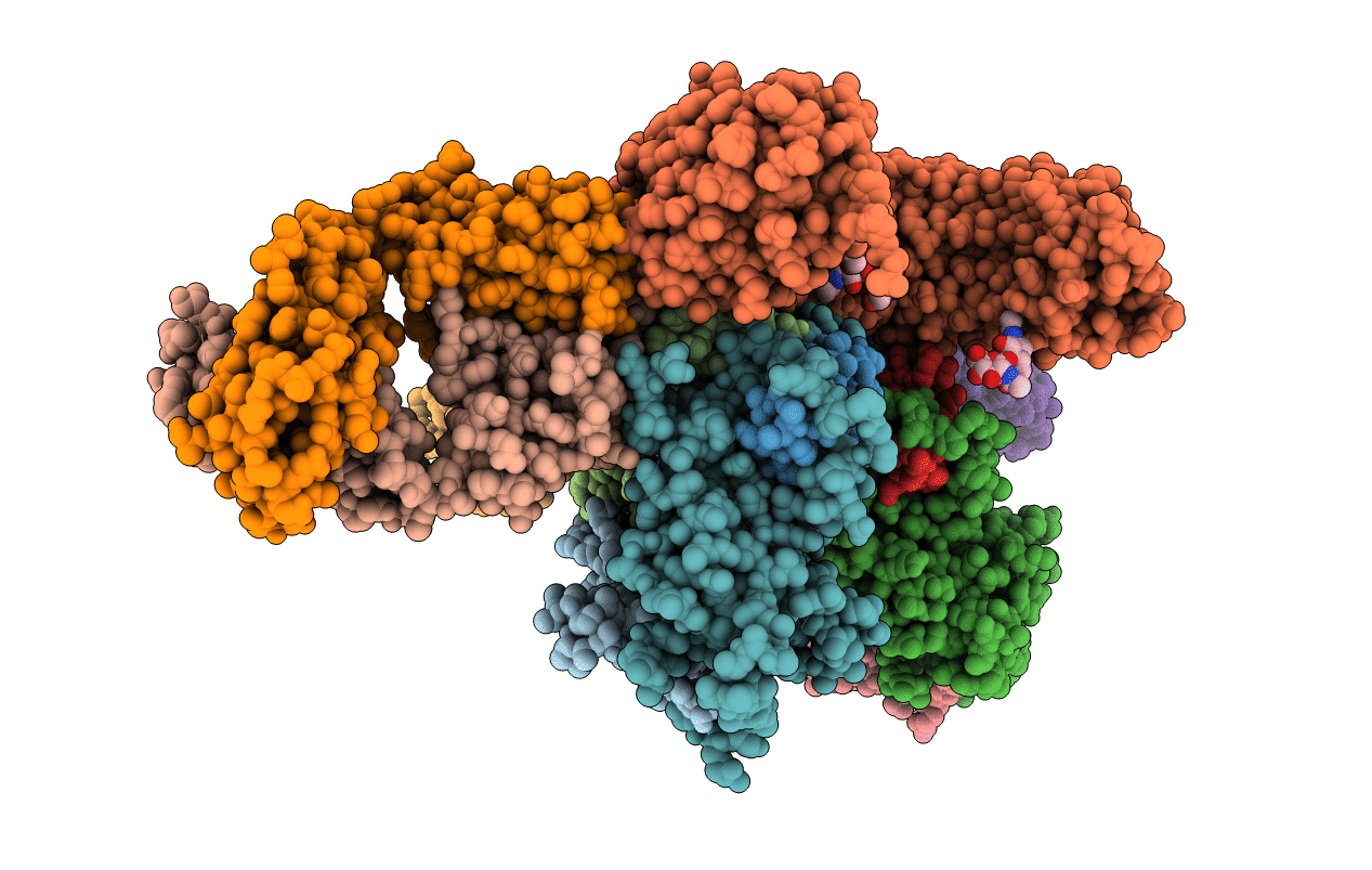 6GFF image