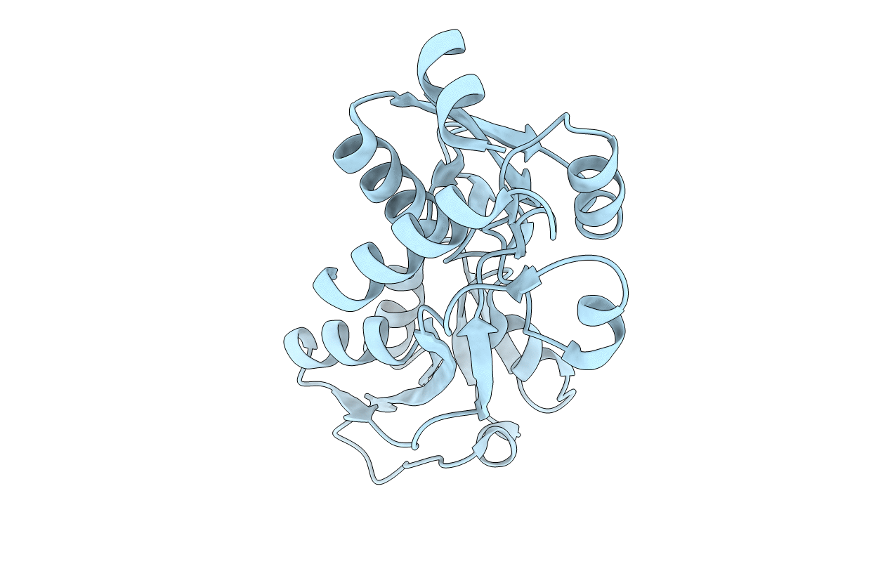 6GGP image