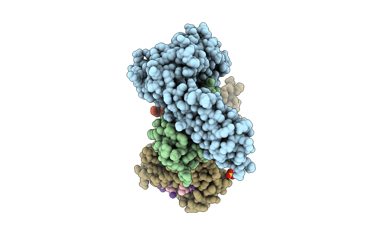 6GHN image