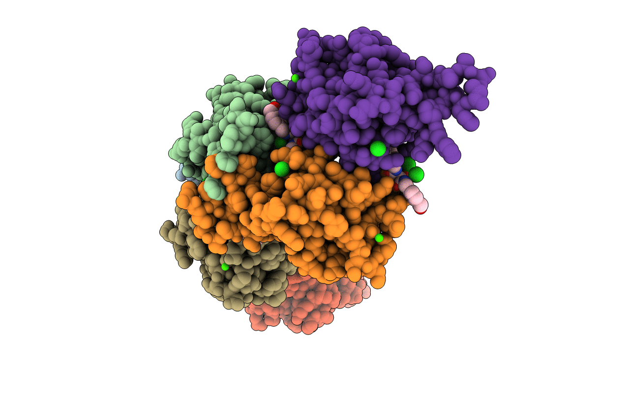 6GHV image