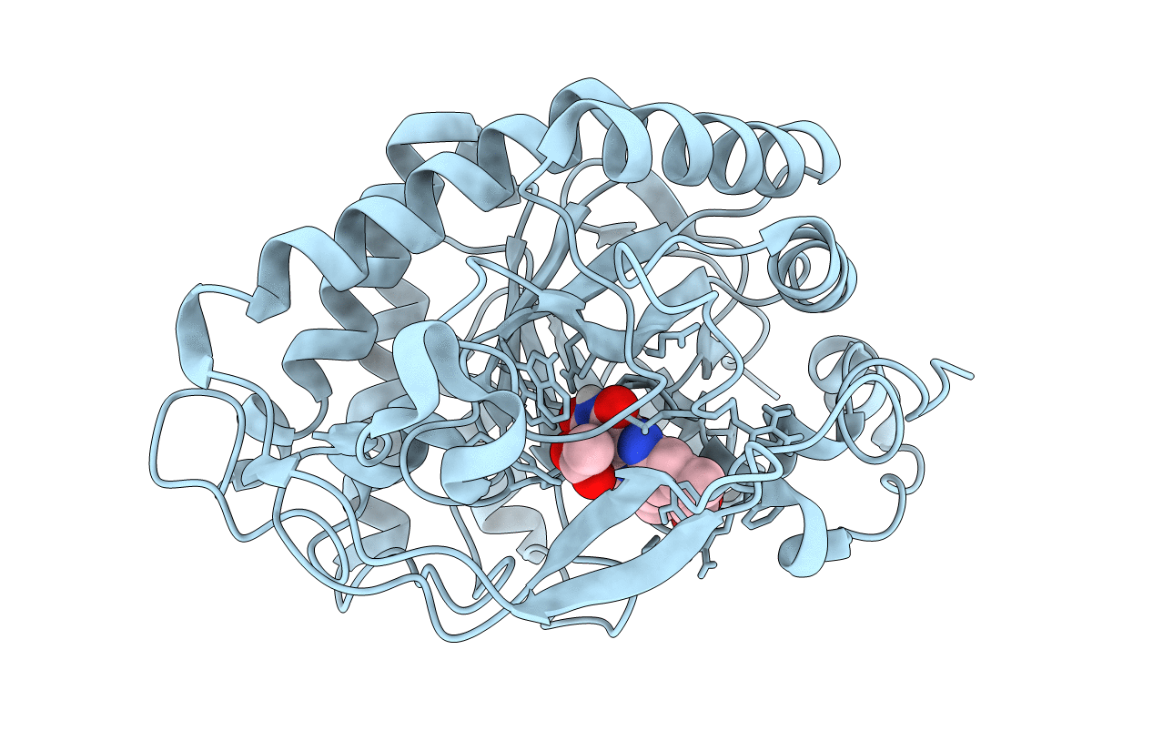 6GI8 image