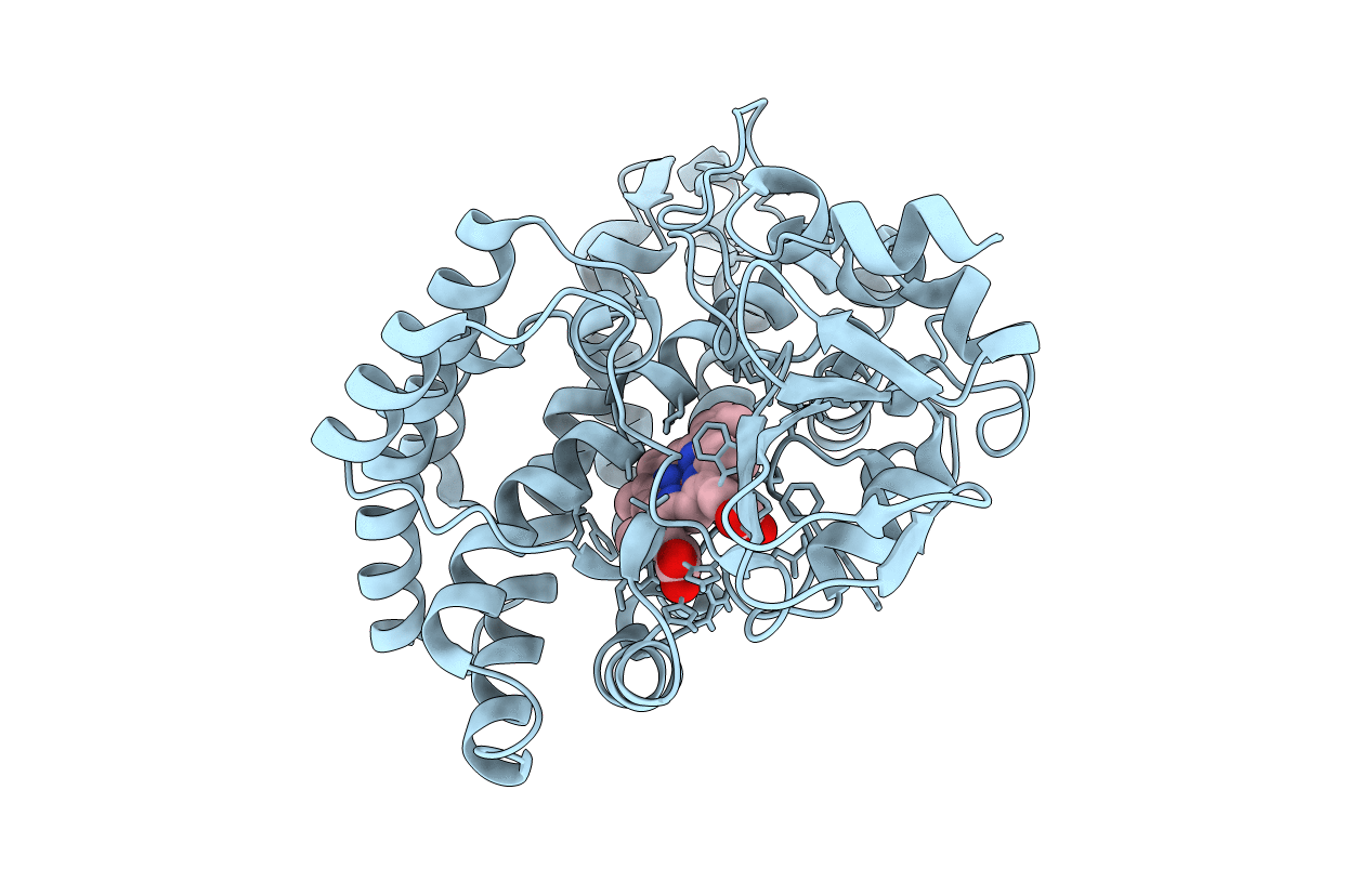 6GII image