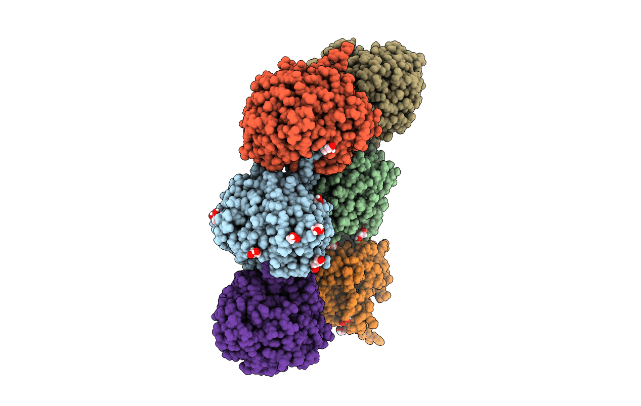 6GJF image