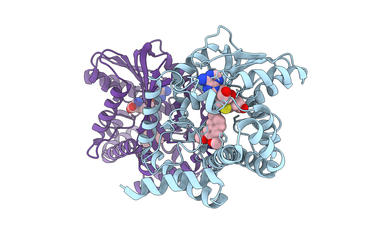 6GKV image