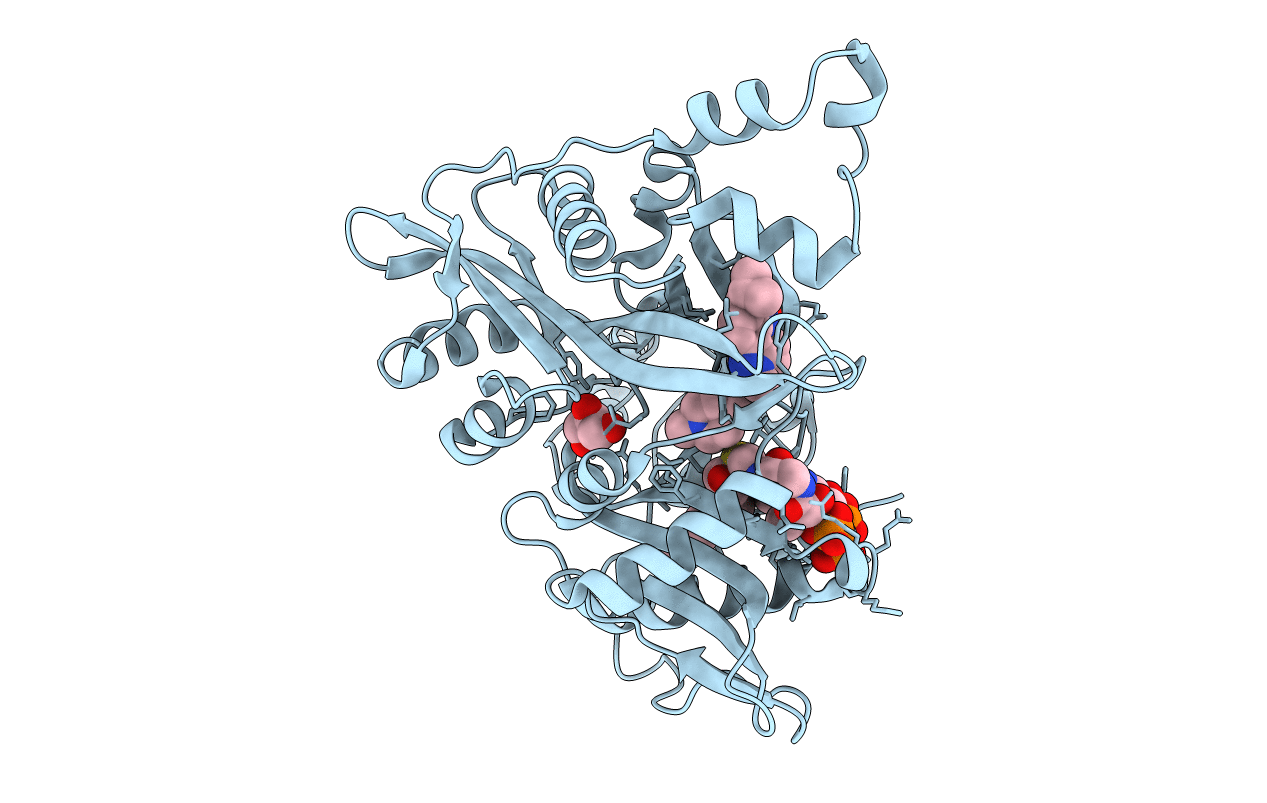 6GNV image