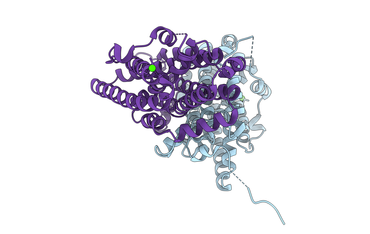 6GP2 image