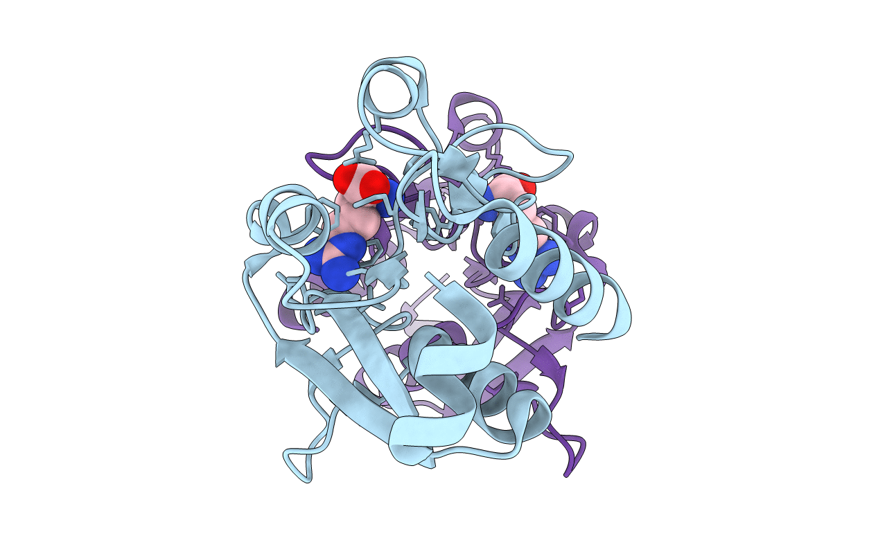6GPC image