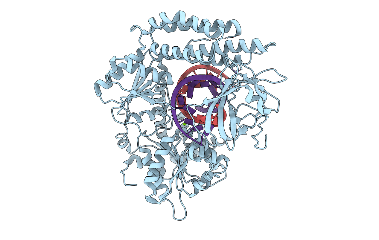 6GPG image