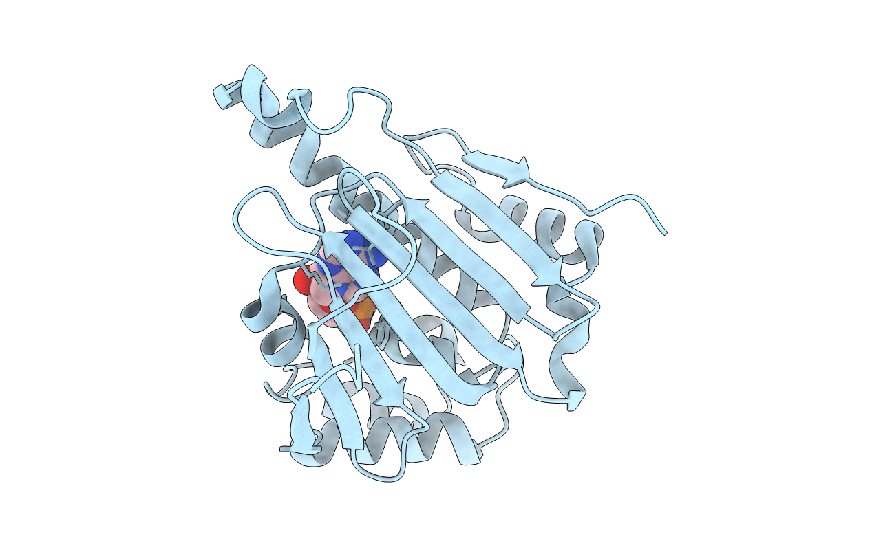 6GPT image