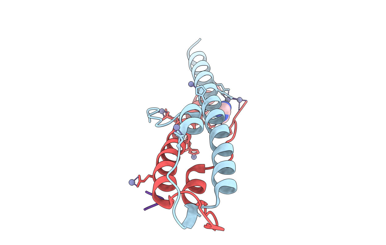 6GPZ image