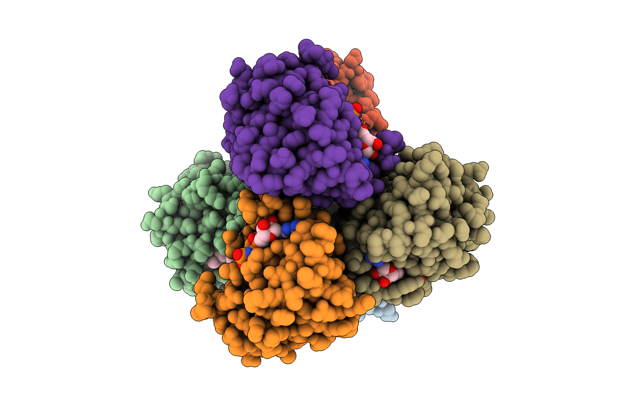 6GQX image