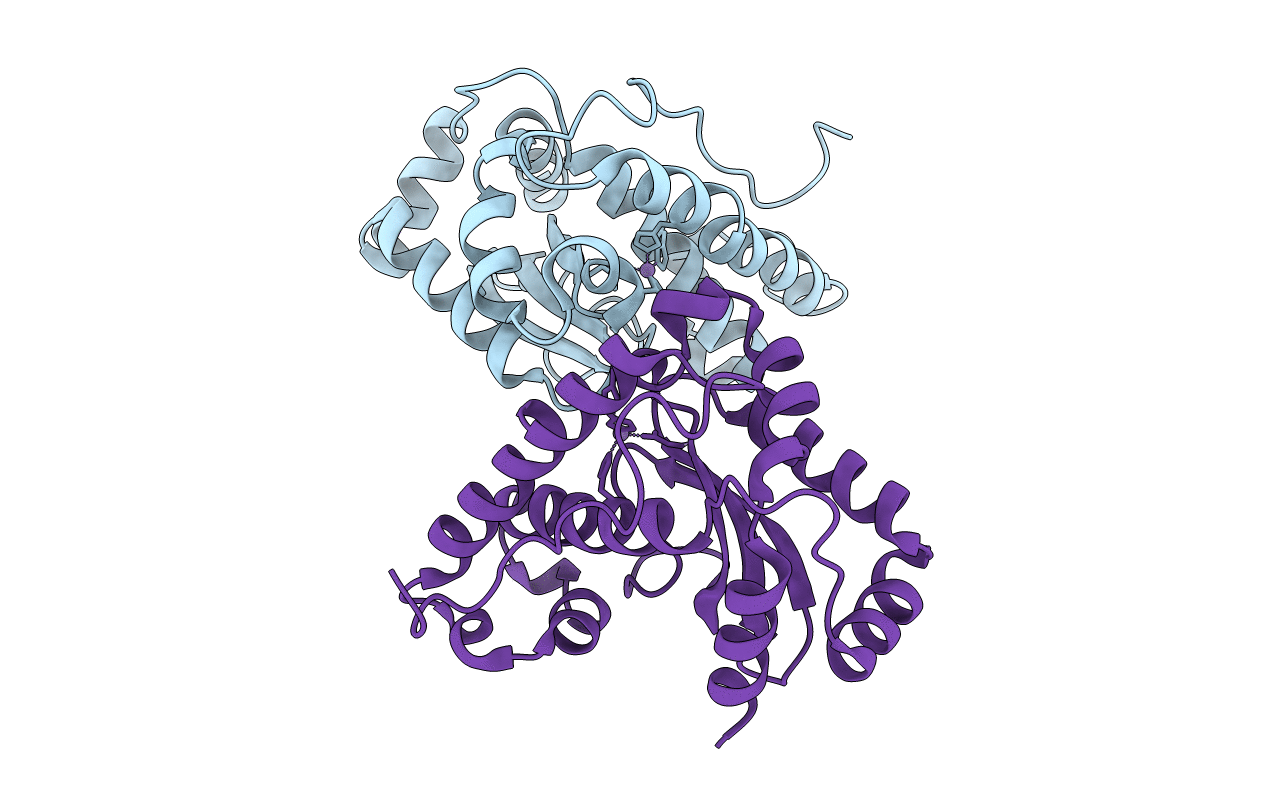 6GSB image