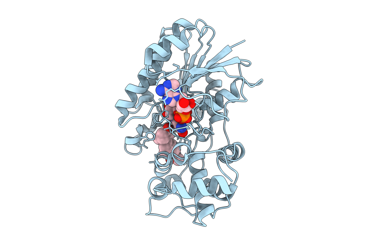 6GSD image
