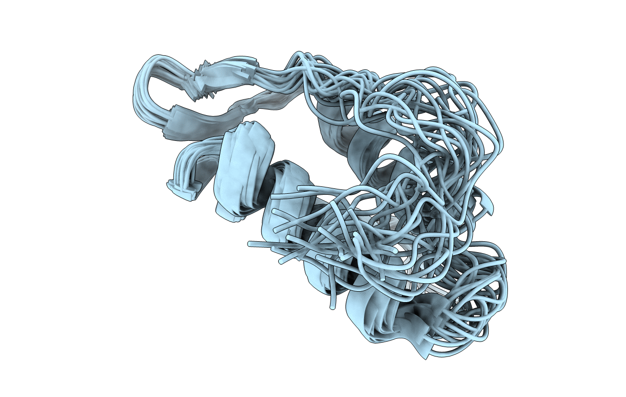 6GSF image