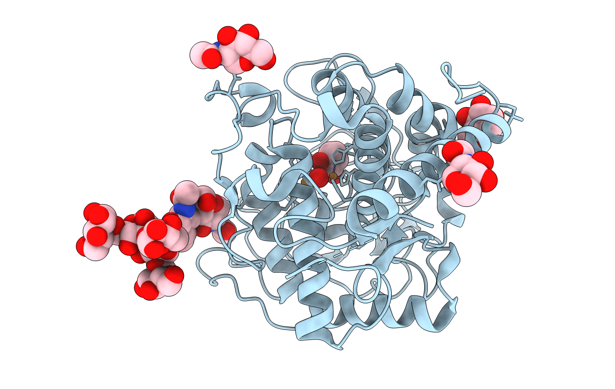 6GSG image
