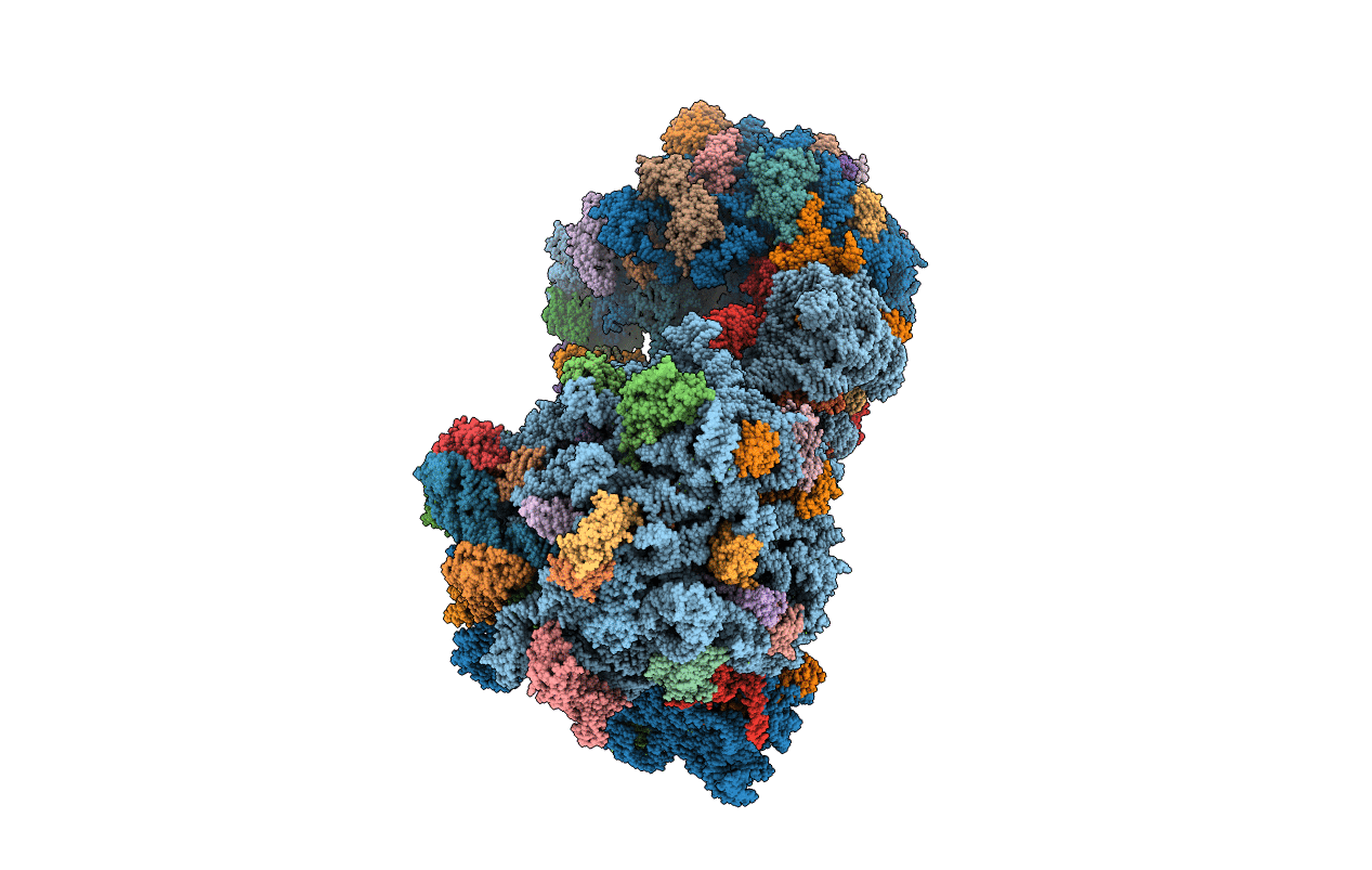 6GSK image