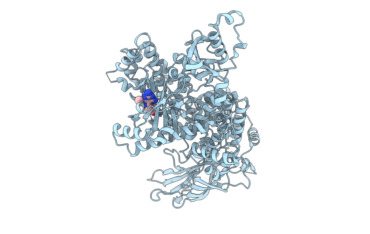 6GVI image