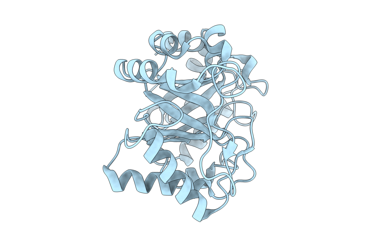 6GWA image