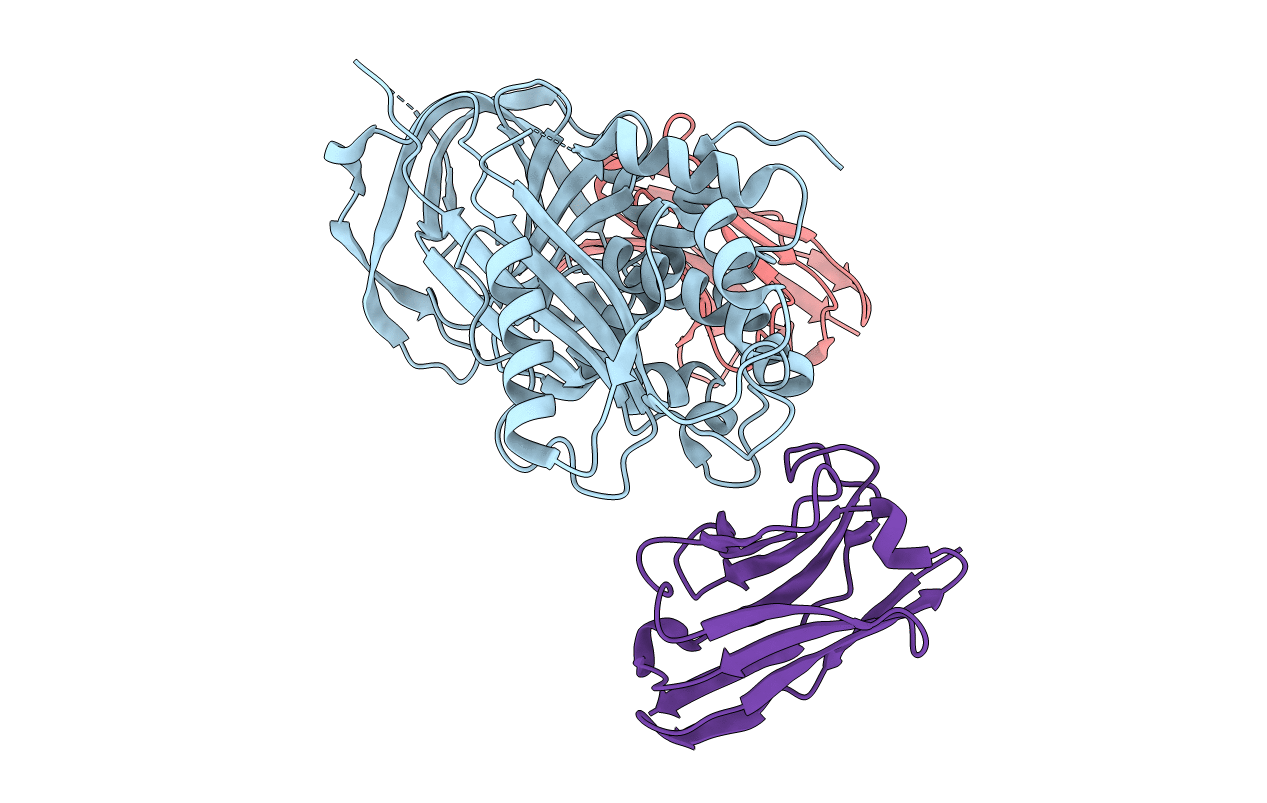 6GWN image