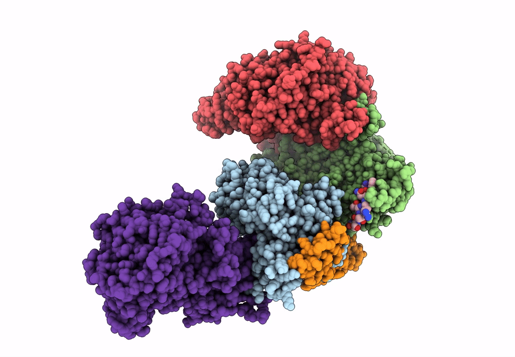 6GYP image