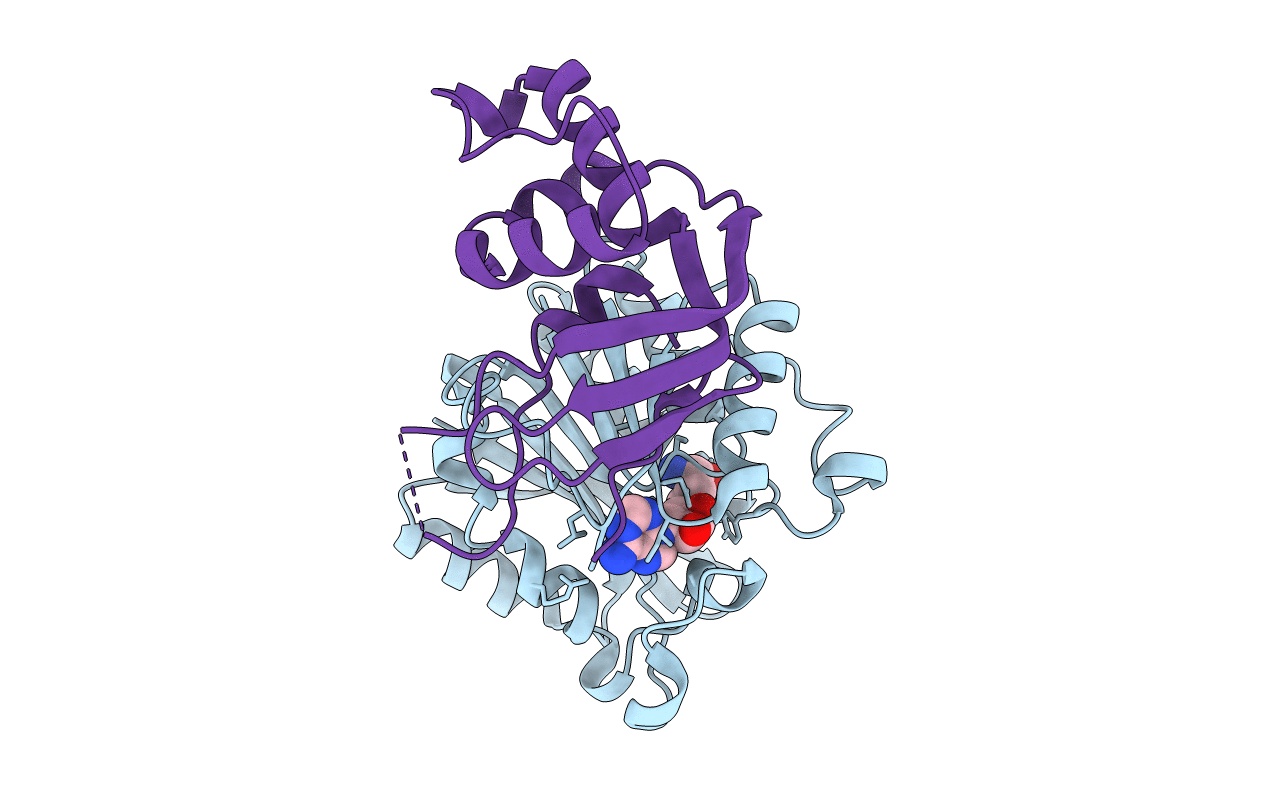 6H1D image