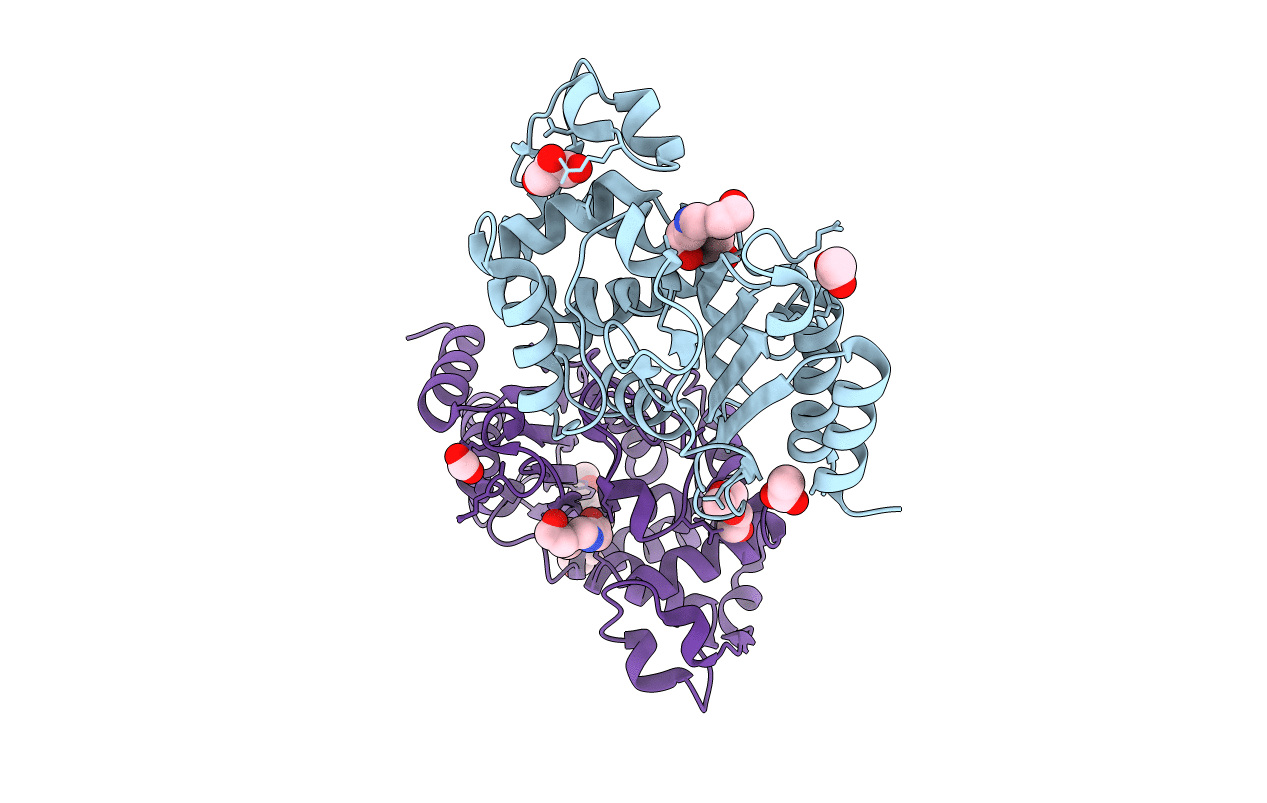 6H2C image