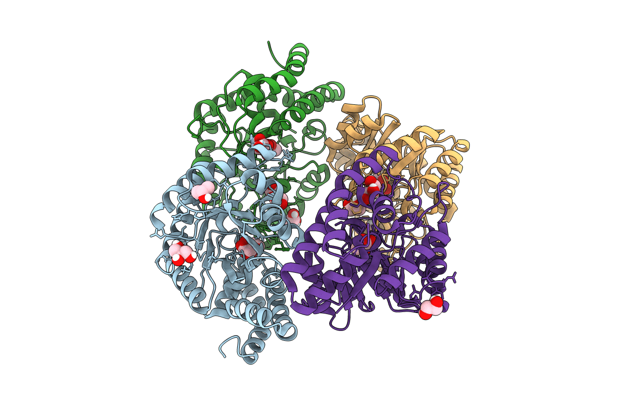 6H2S image
