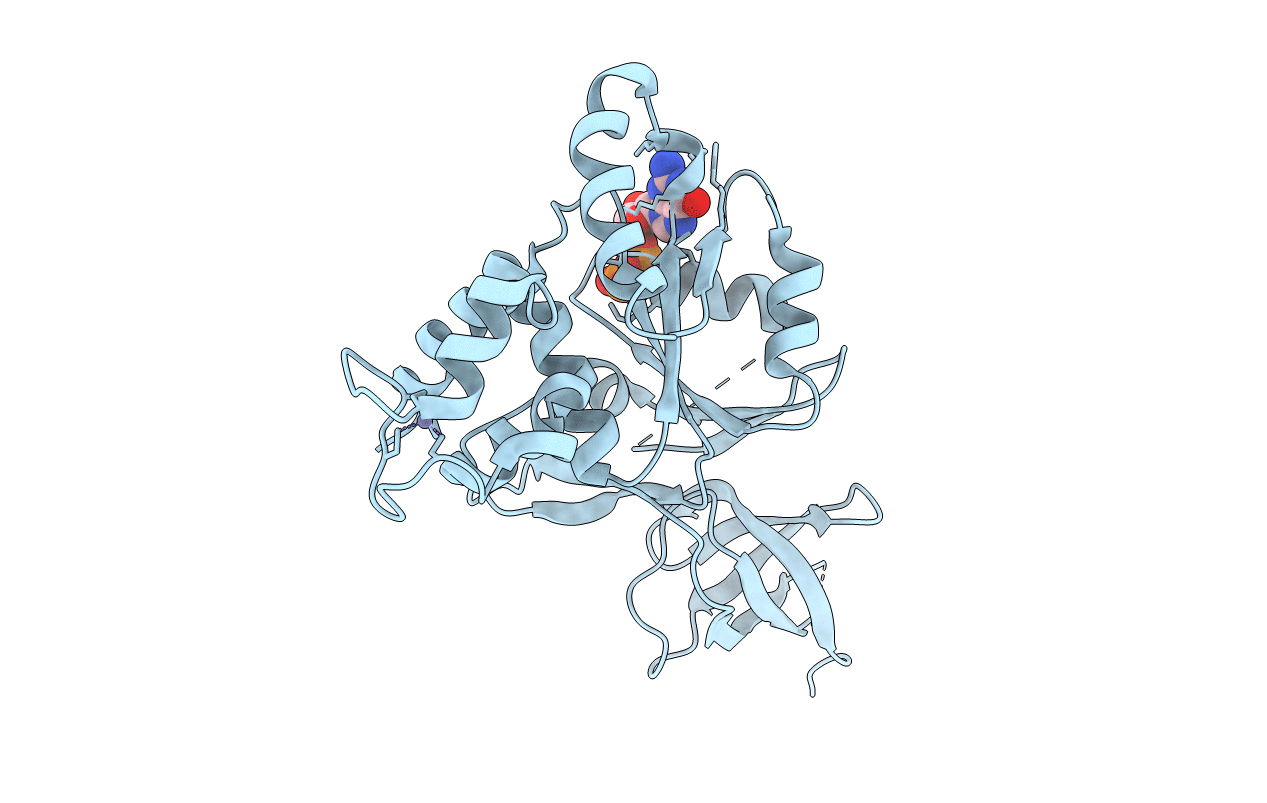 6H4D image