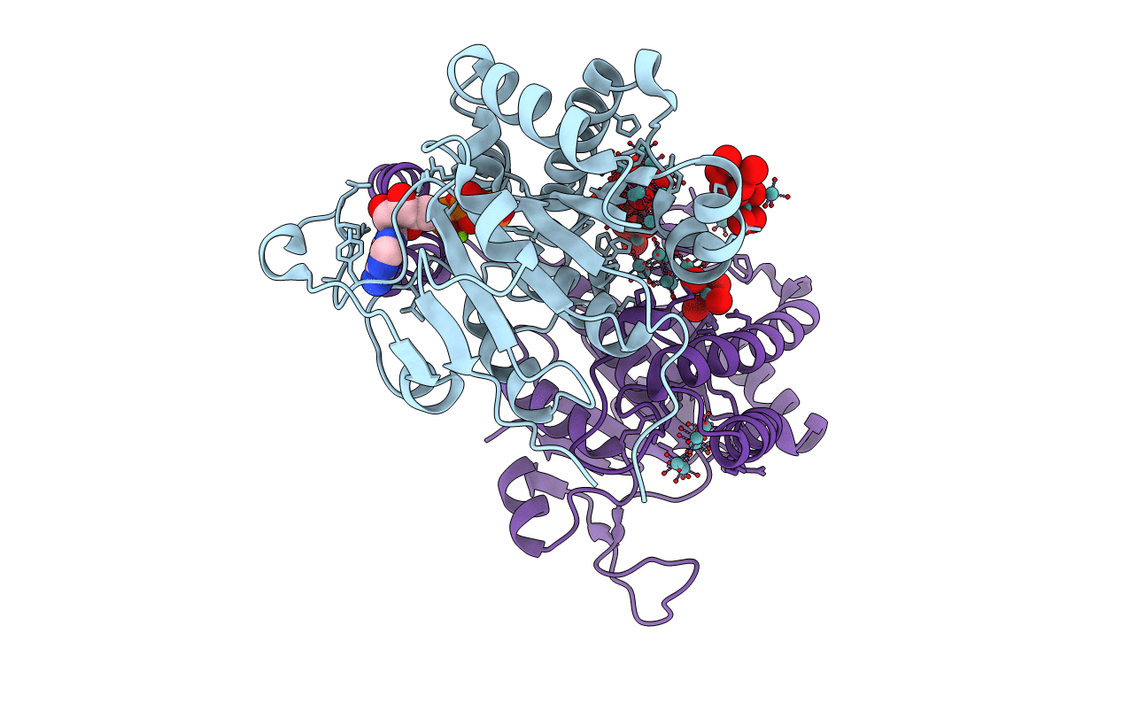 6H8B image
