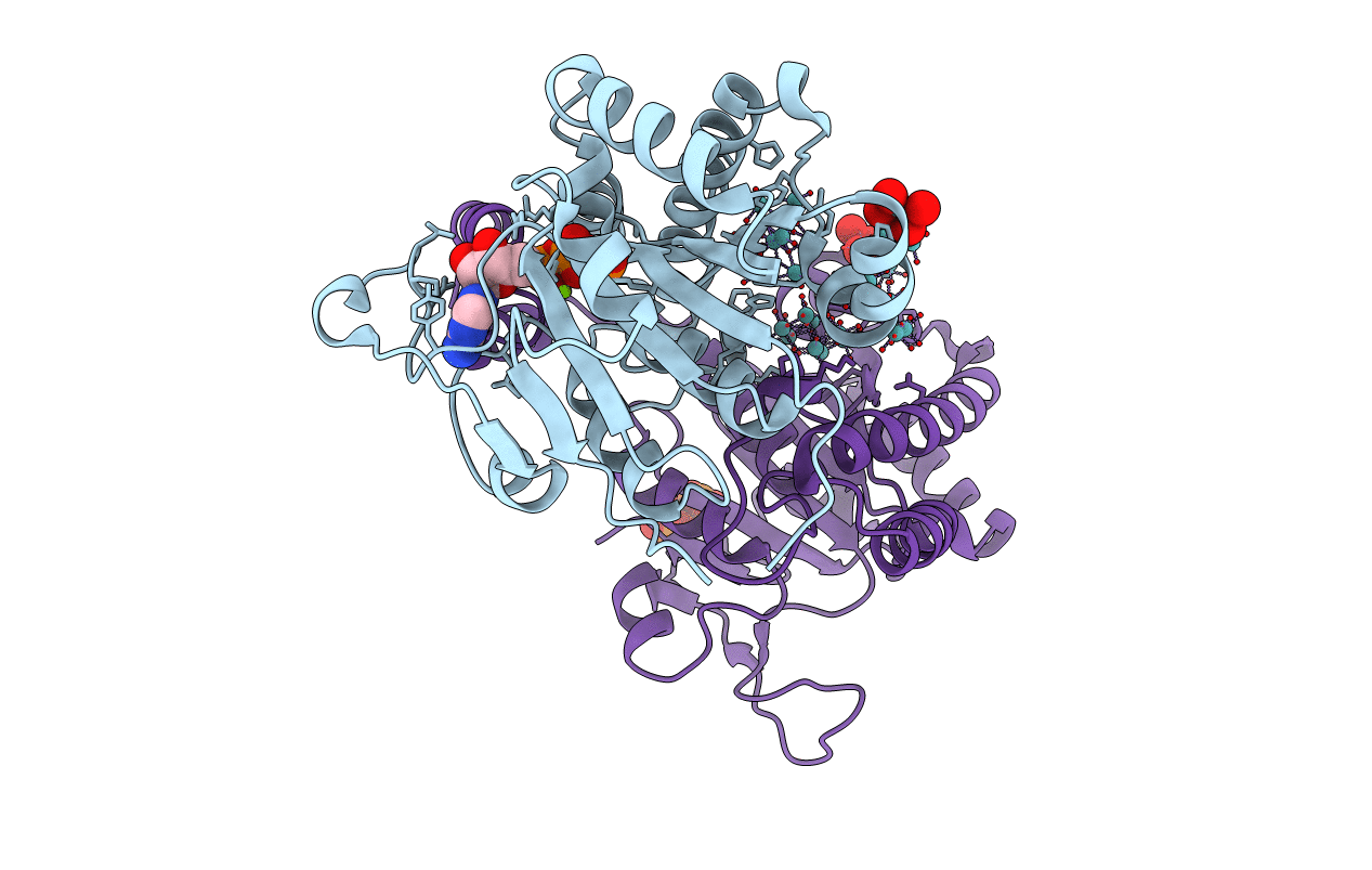 6H8H image