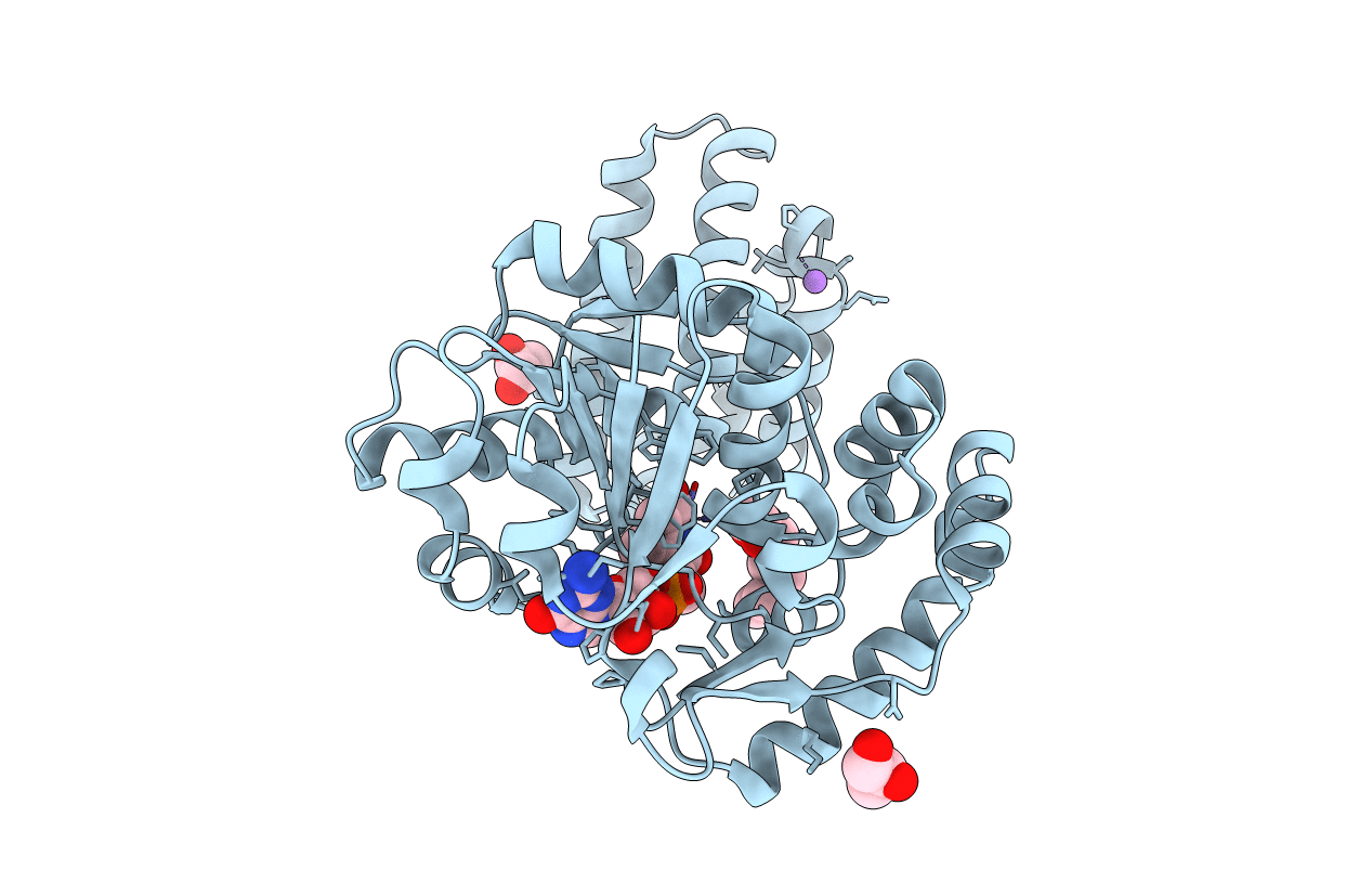 6HAC image