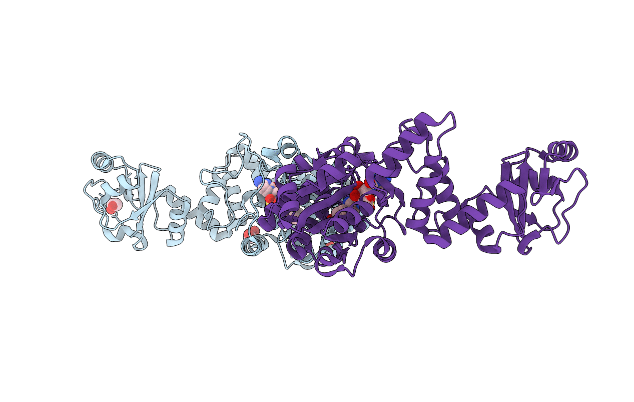 6HB5 image