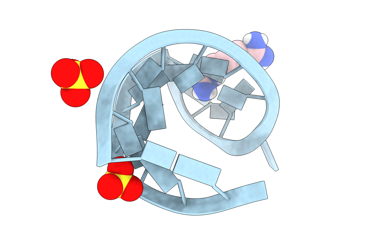 6HBT image