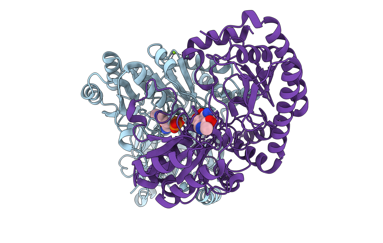 6HBV image