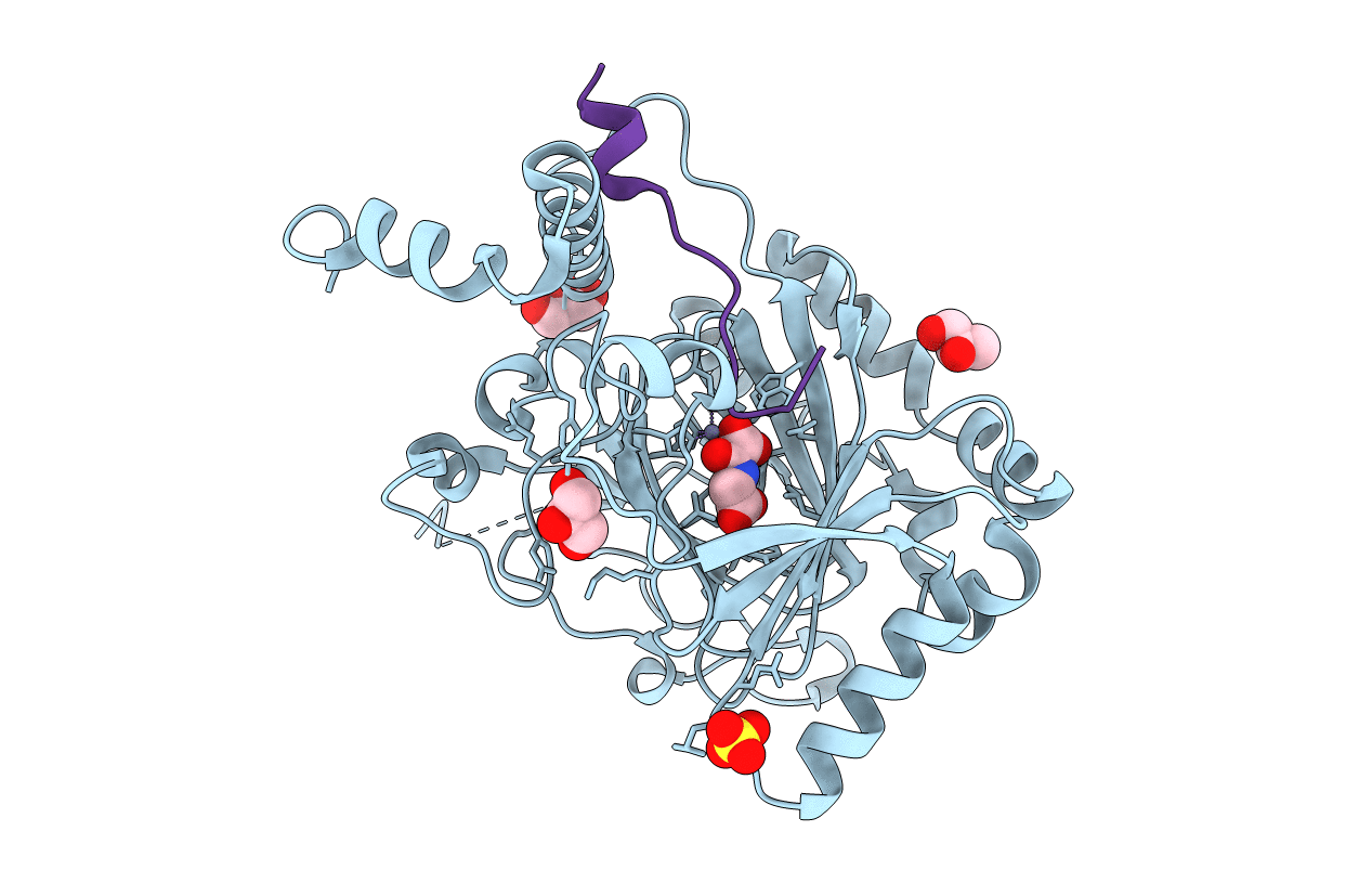 6HC8 image