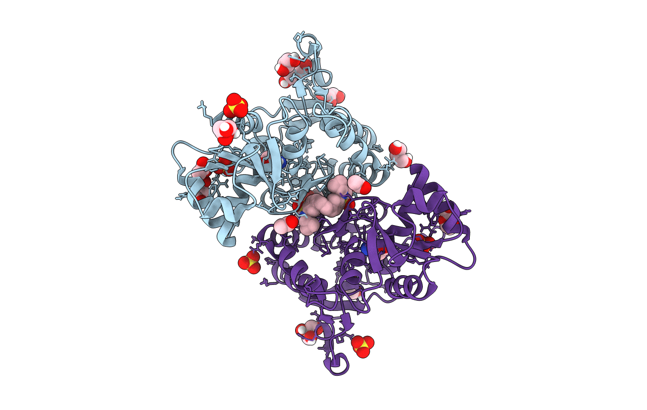 6HCC image