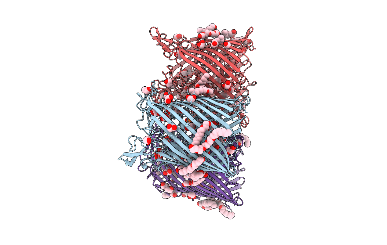 6HCP image