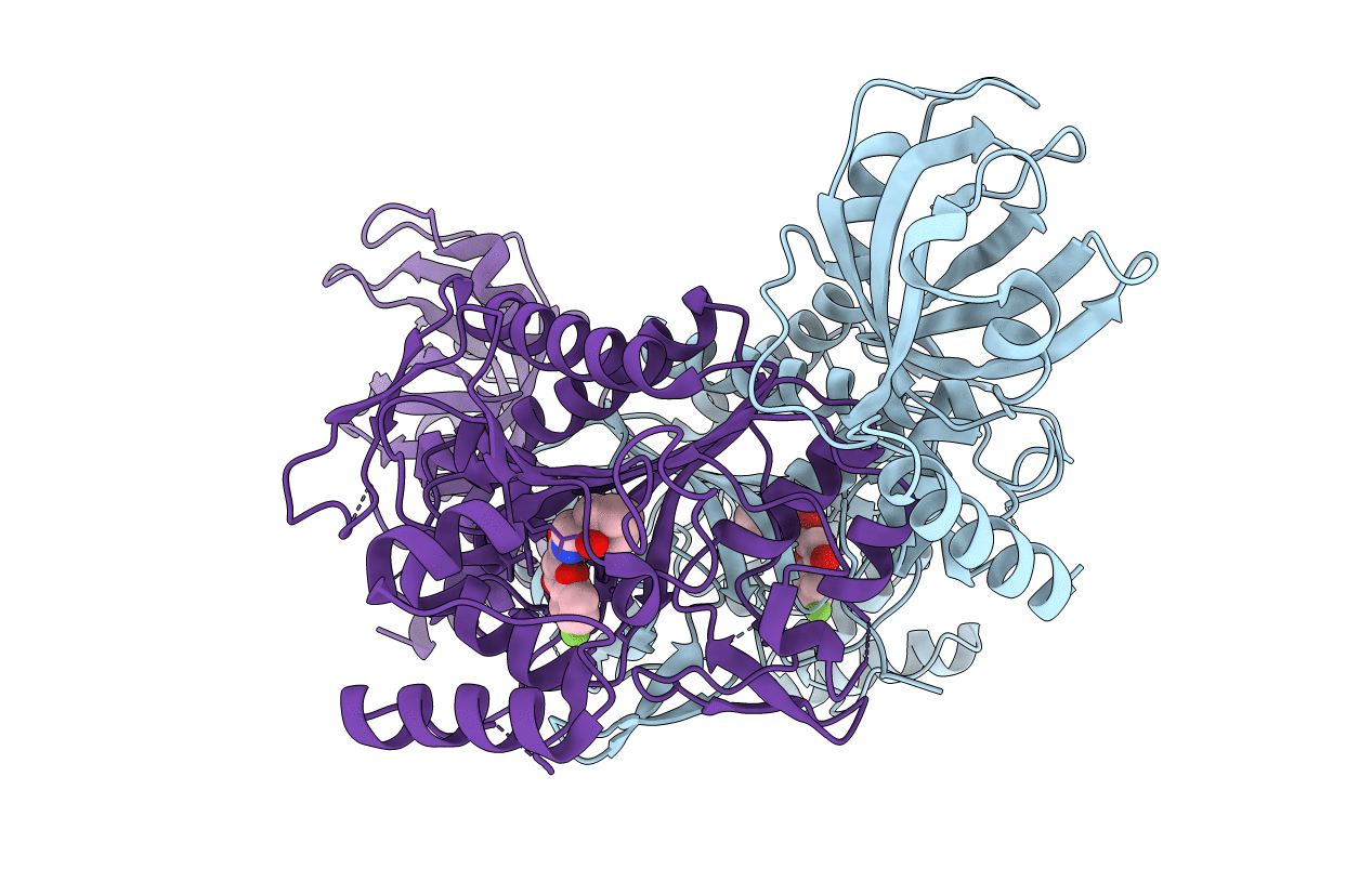 6HCV image