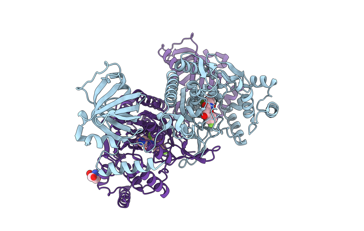 6HCW image