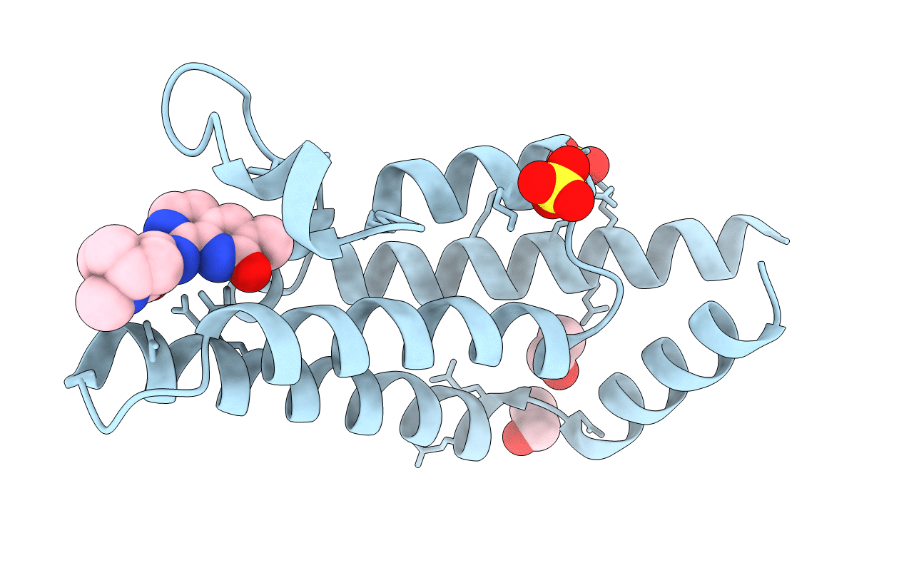 6HDN image
