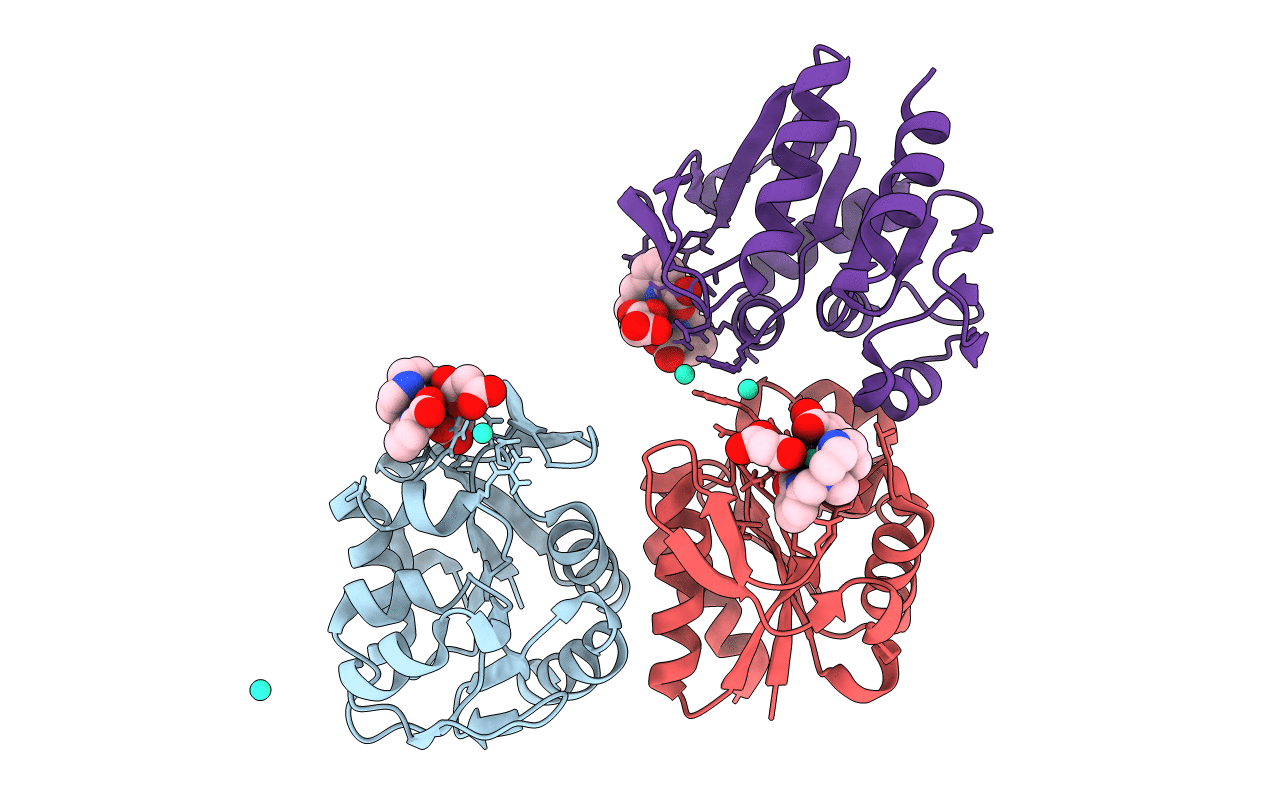 6HF6 image