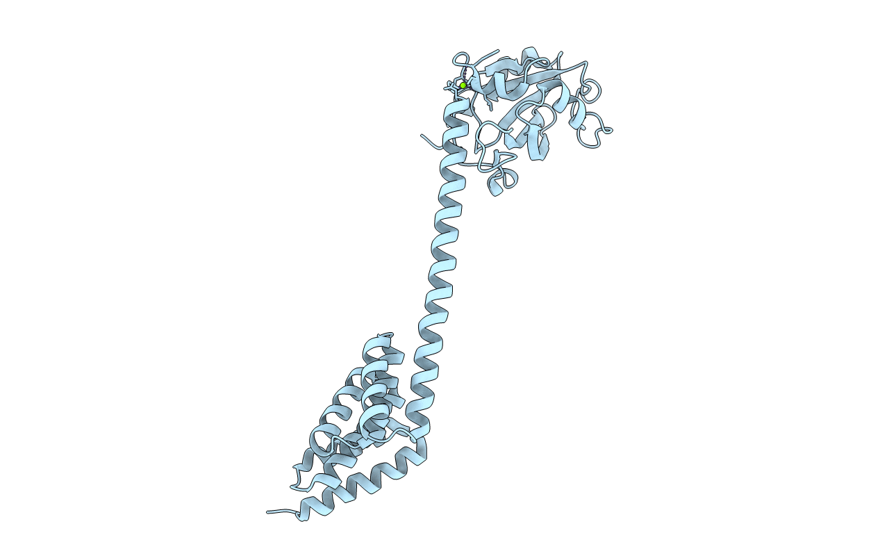 6HFT image